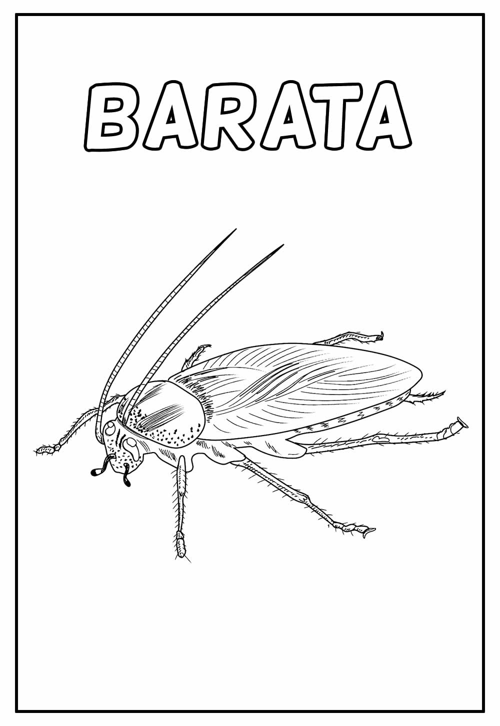 Barata