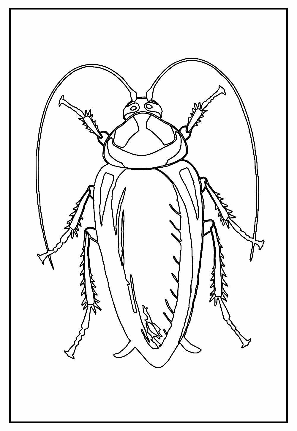 Barata
