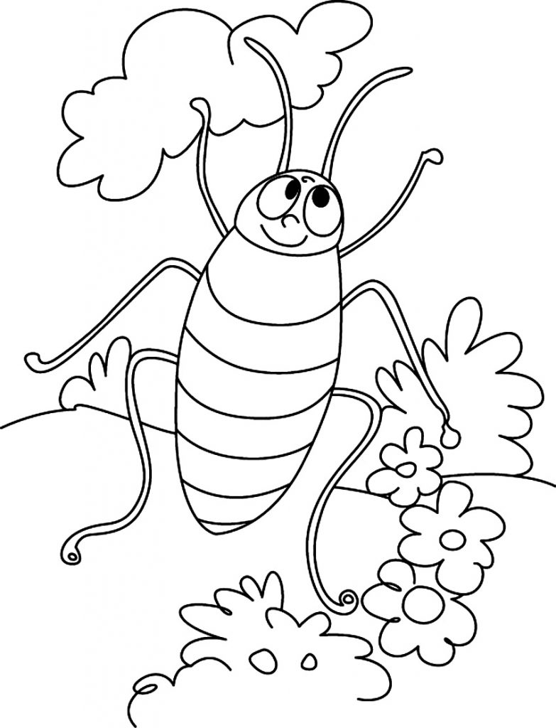 Barata