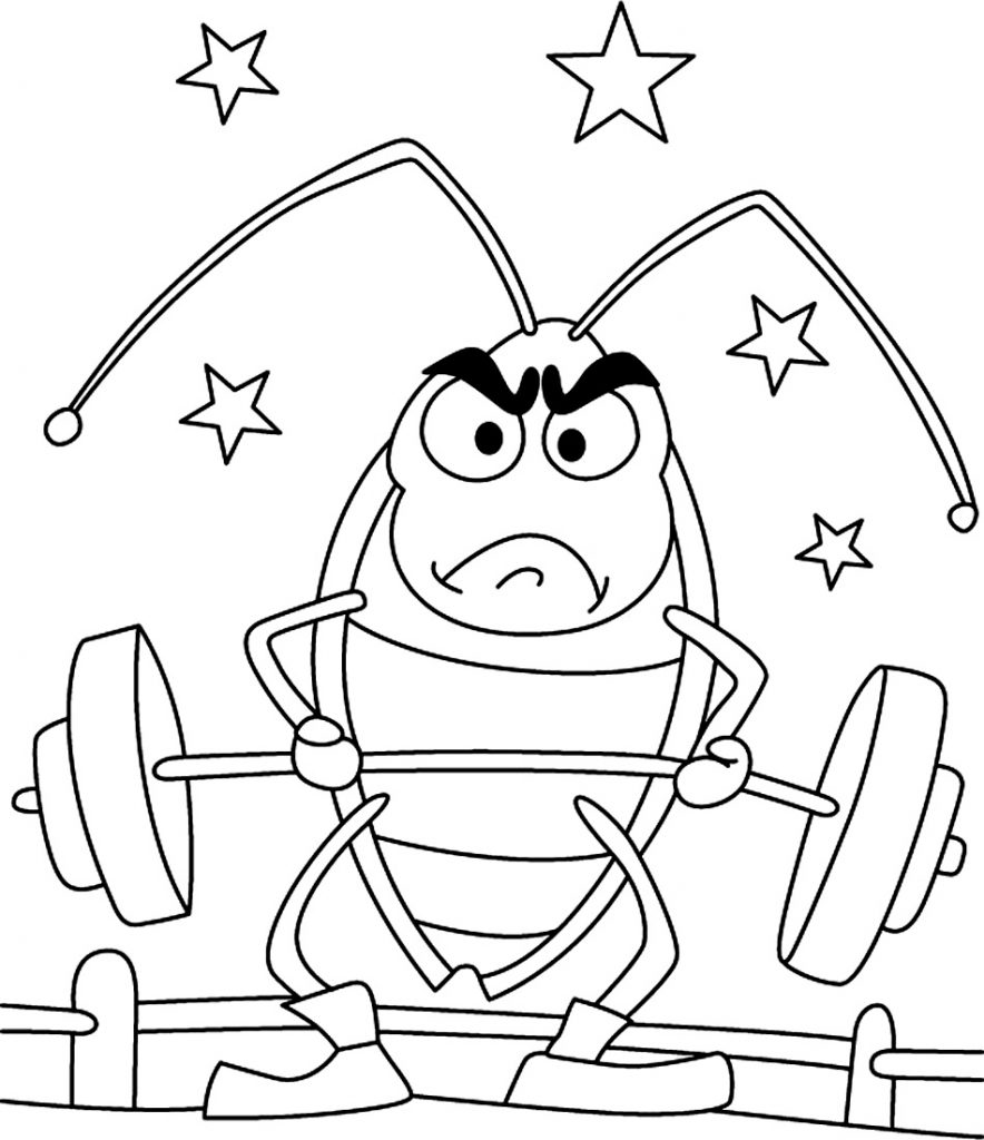 Barata