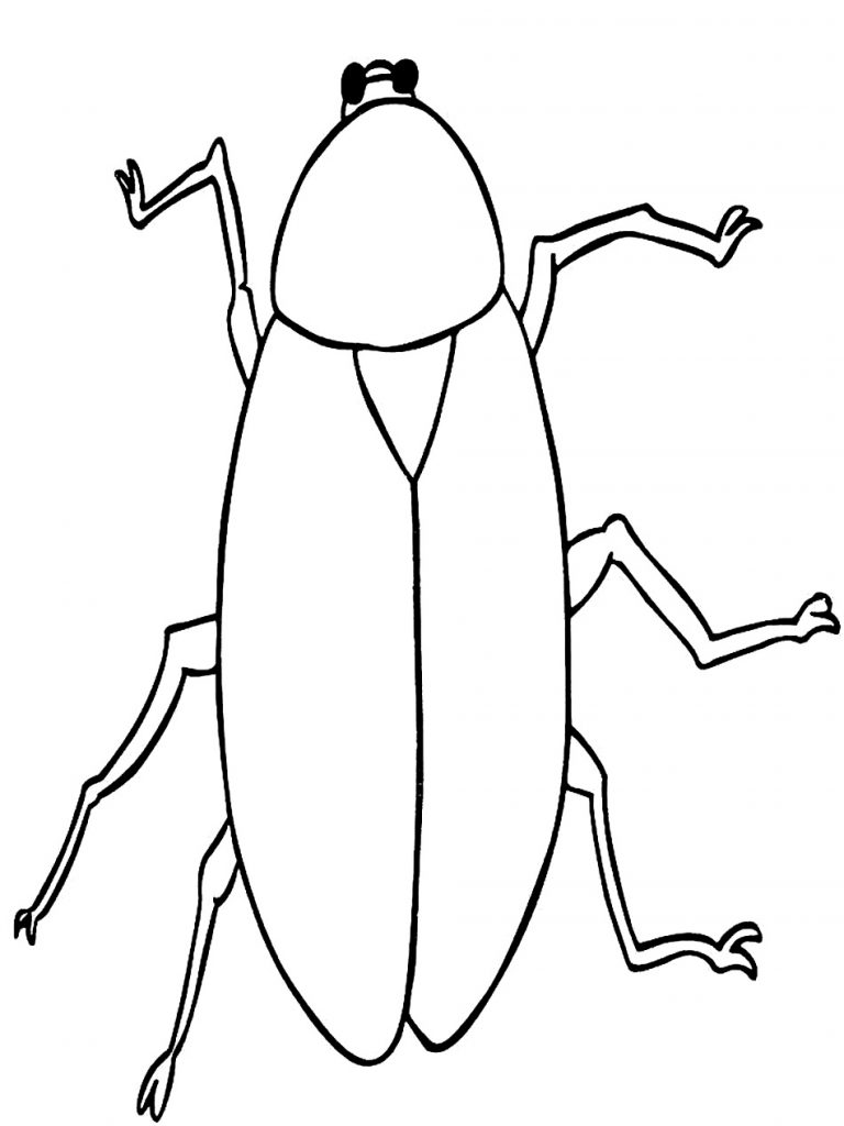 Barata