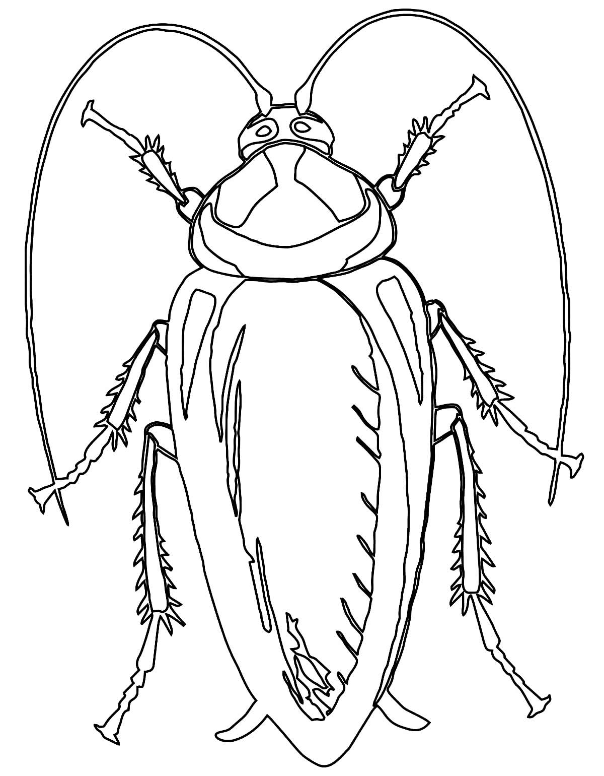 Barata