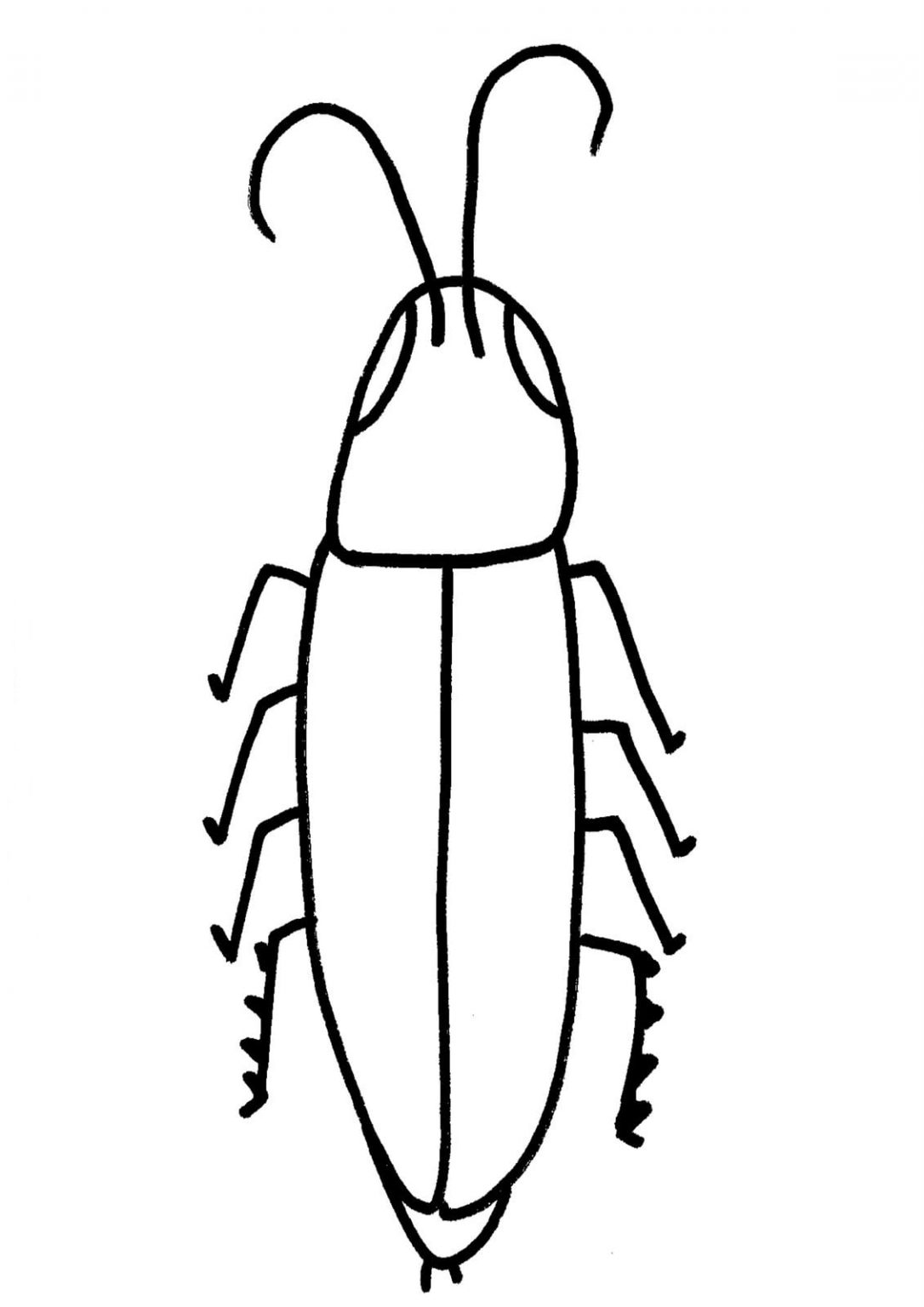 Barata