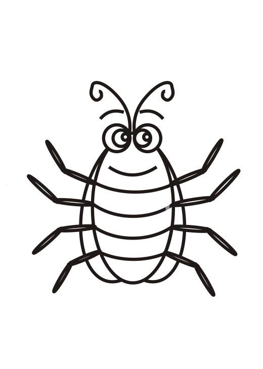 Barata