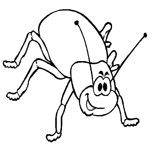 Barata