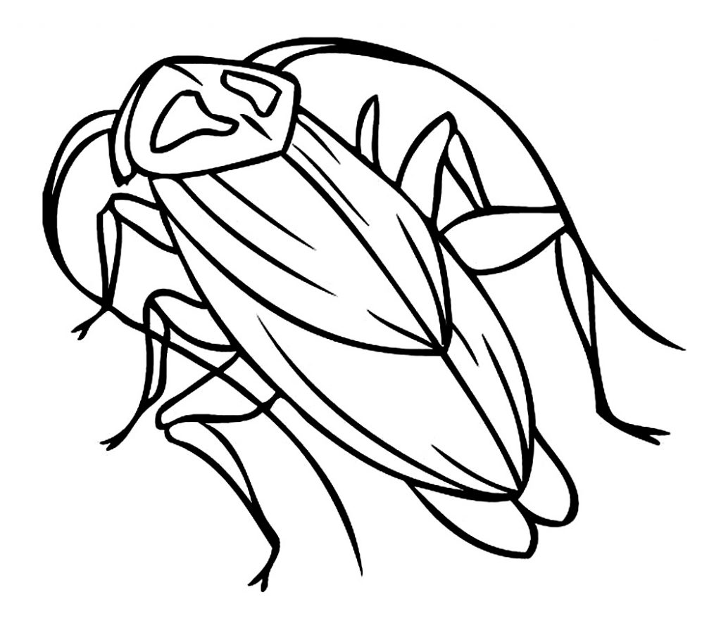 Barata