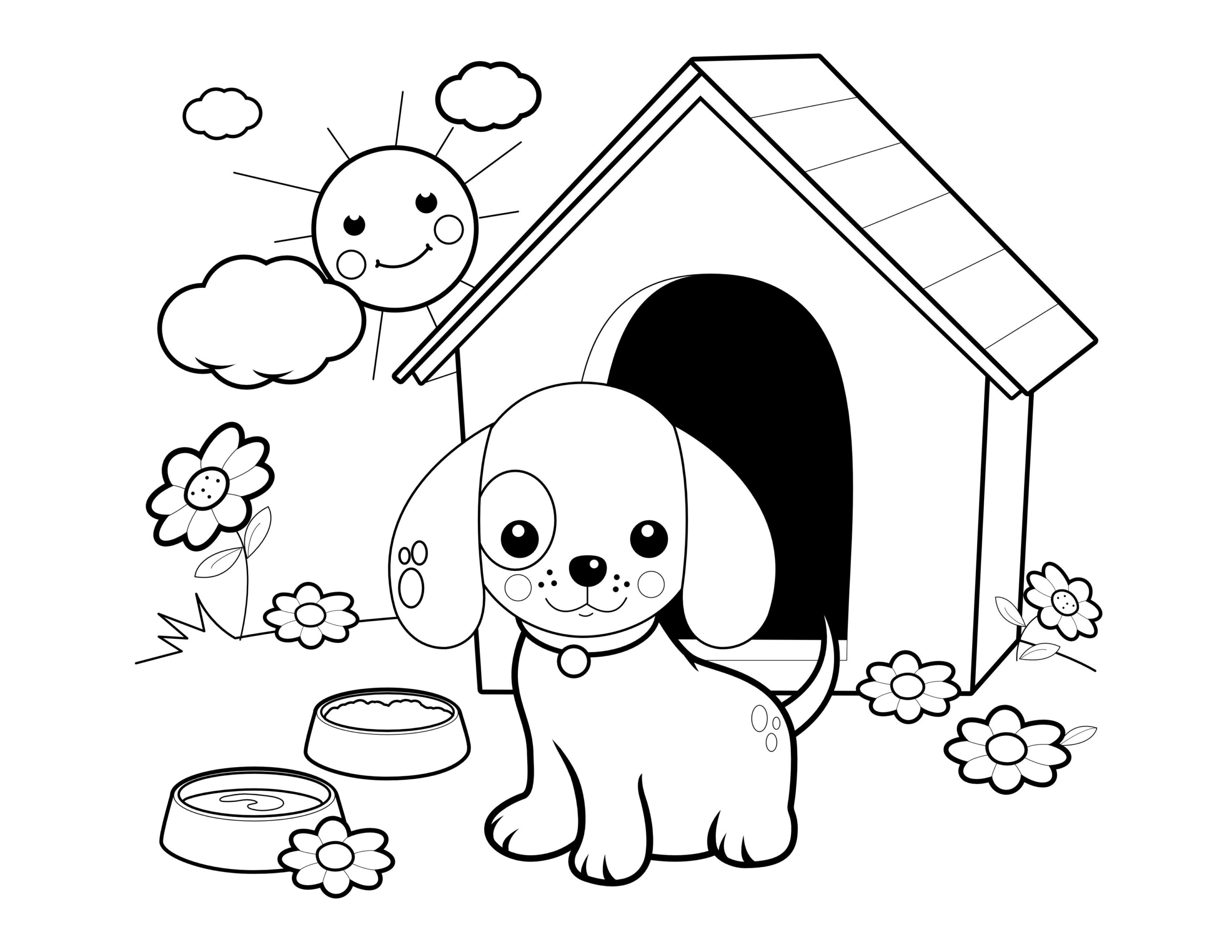 Cachorros