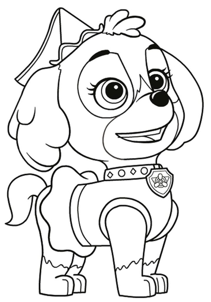 Vamos voar com a Skye! Pinte essa filhote corajosa. Desenho para colorir da Skye da Patrulha Canina, de pé, usando seus óculos de voo na cabeça e seu uniforme característico