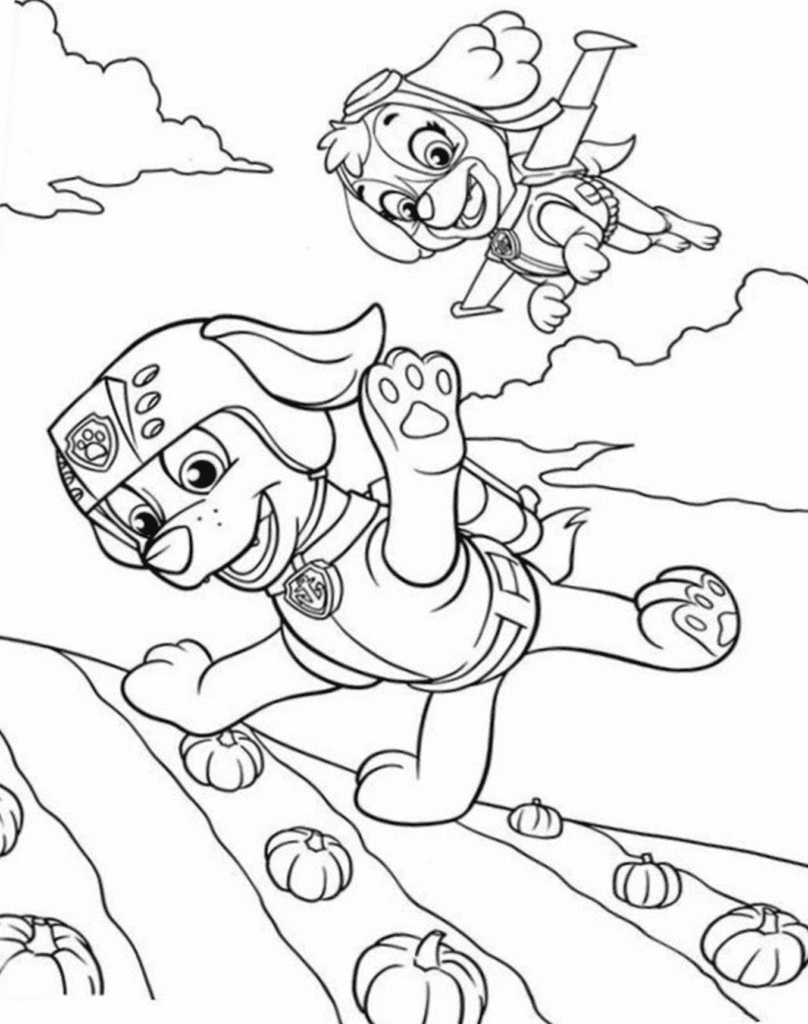Pinte o Zuma e a Skye brincando no campo de abóboras! Clique para imprimir. Desenho para colorir de Zuma correndo em um campo de abóboras, com a Skye voando acima dele no céu