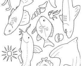 Peixes