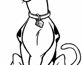 Scooby Doo