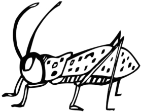 Grilo