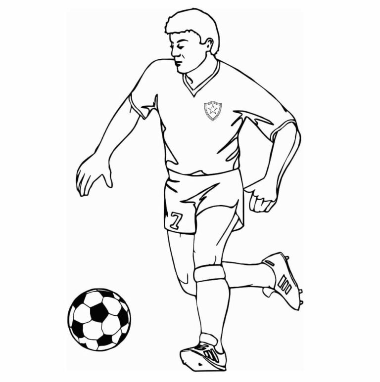 Botafogo de Futebol e Regatas