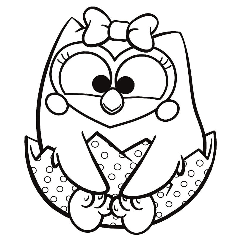 Bubu e as Corujinhas