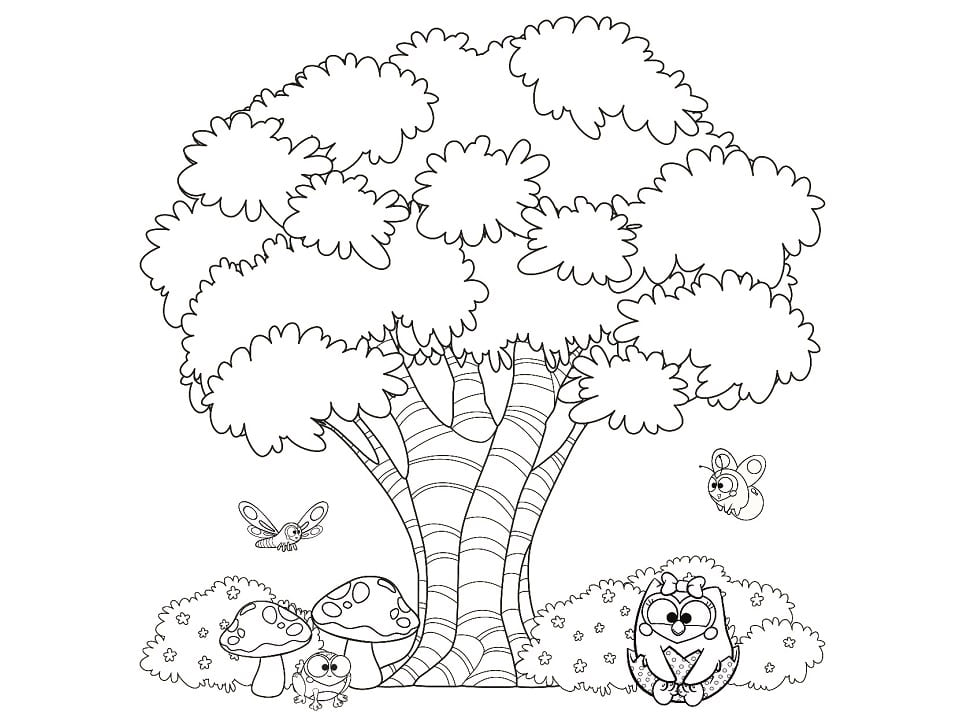 Bubu e as Corujinhas