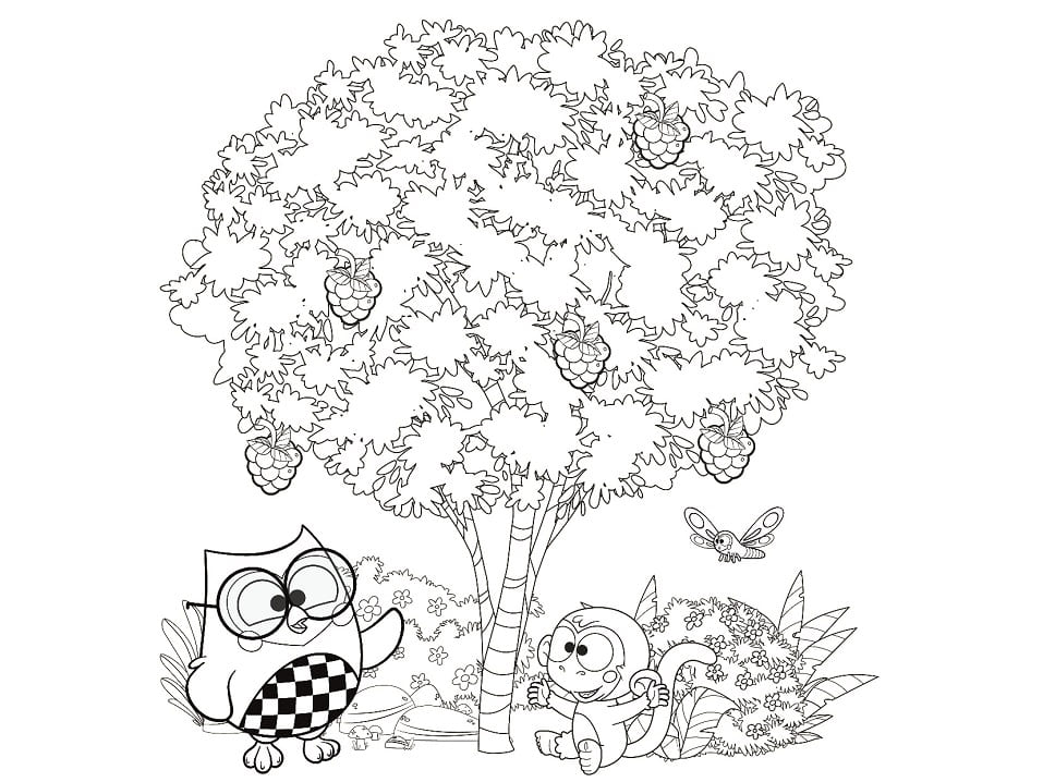 Bubu e as Corujinhas