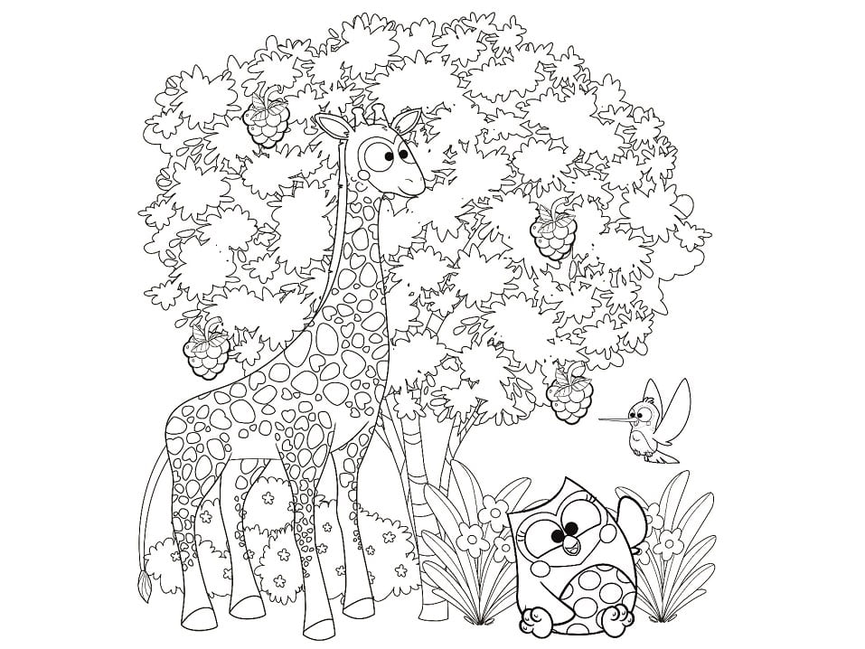 Bubu e as Corujinhas