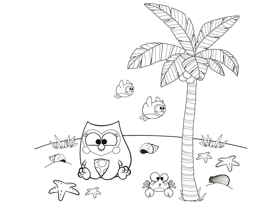 Bubu e as Corujinhas