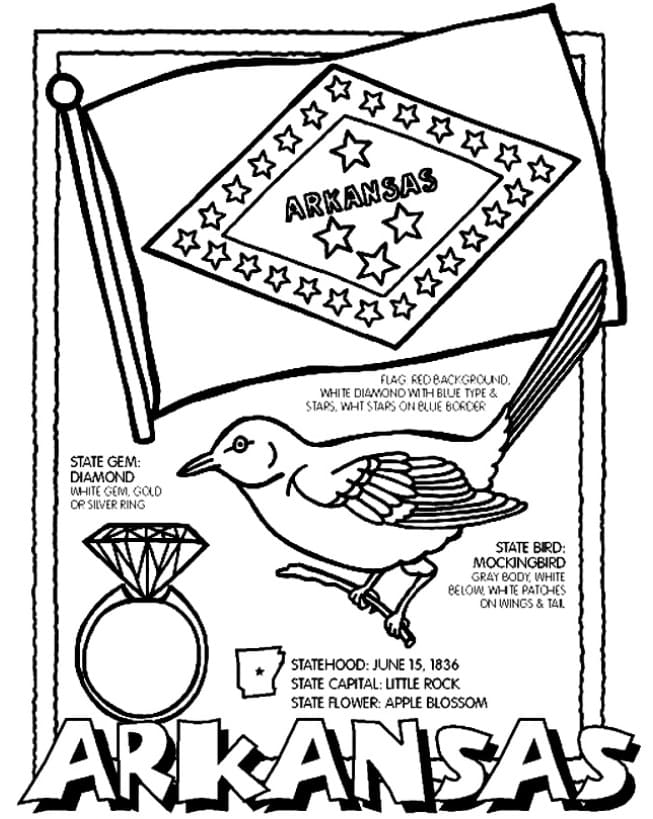 Estados Unidos (EUA/USA)