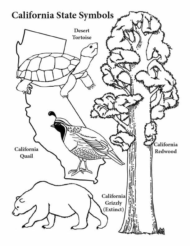 Estados Unidos (EUA/USA)