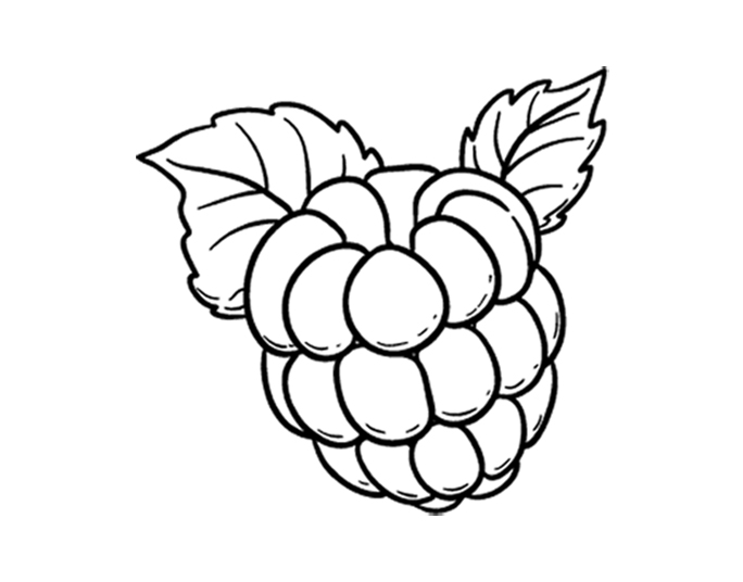 Framboesa