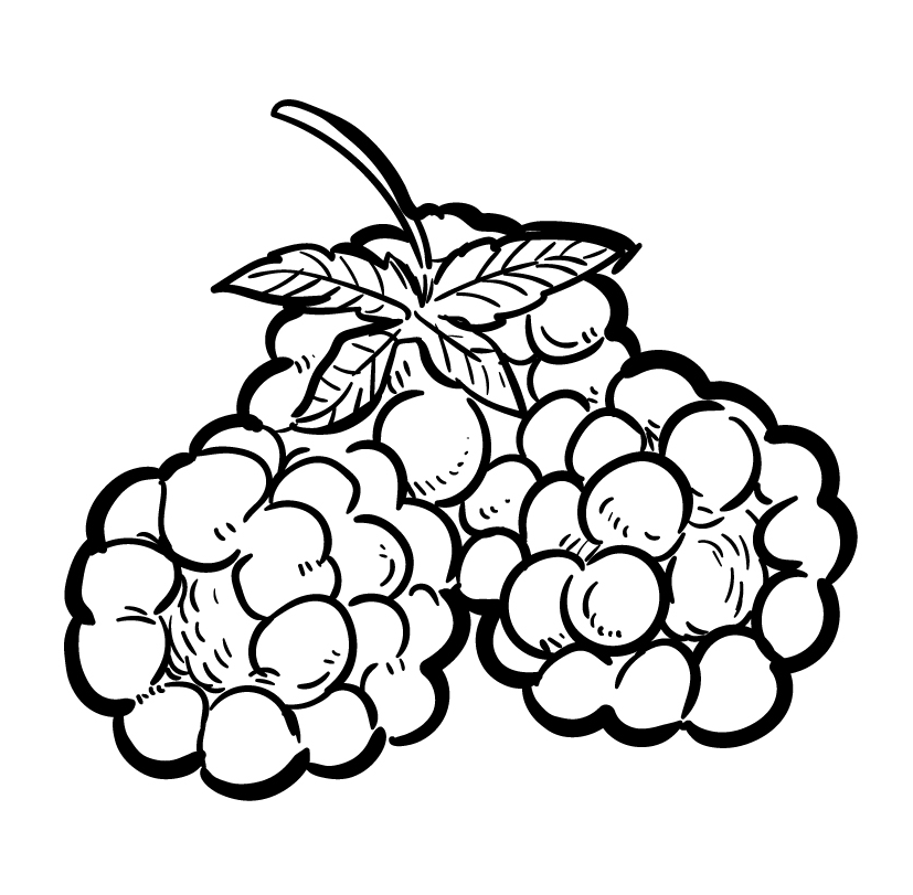 Framboesa