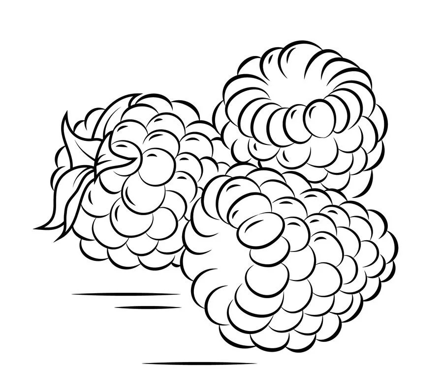 Framboesa