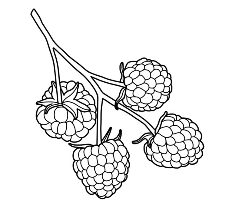 Framboesa