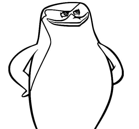 Pinguins de Madagascar