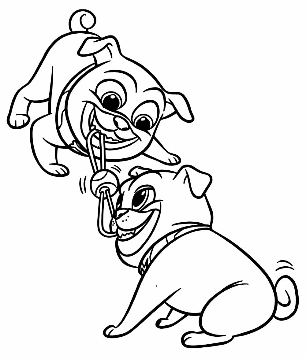 Puppy Dog Pals