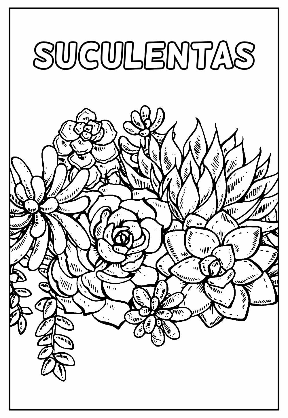 Suculentas