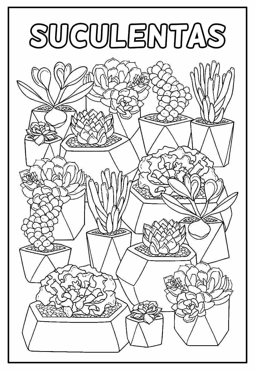 Suculentas