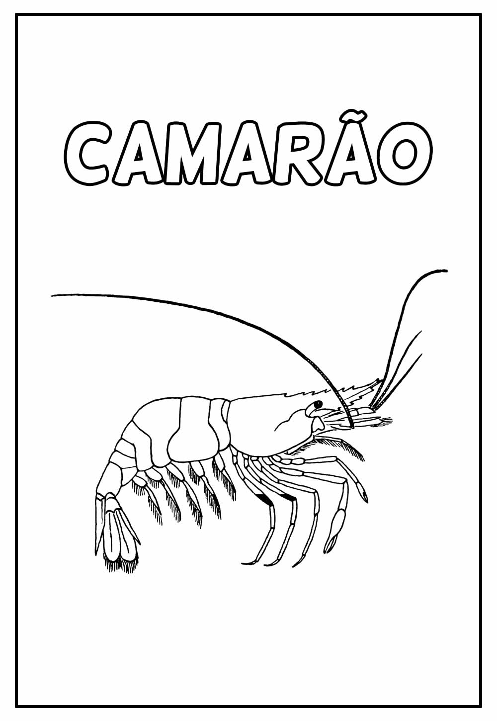 Camarão