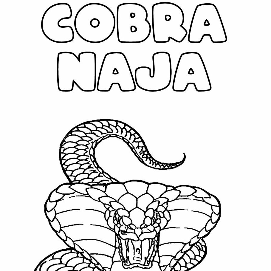 Cobra Naja
