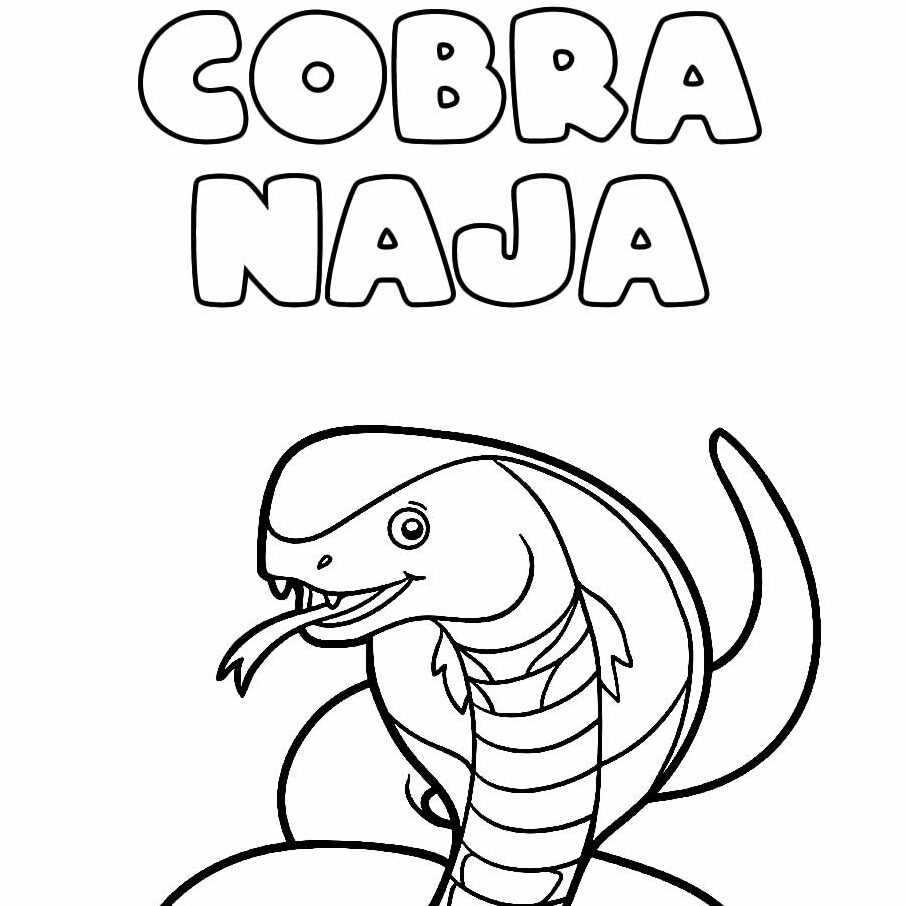 Cobra Naja