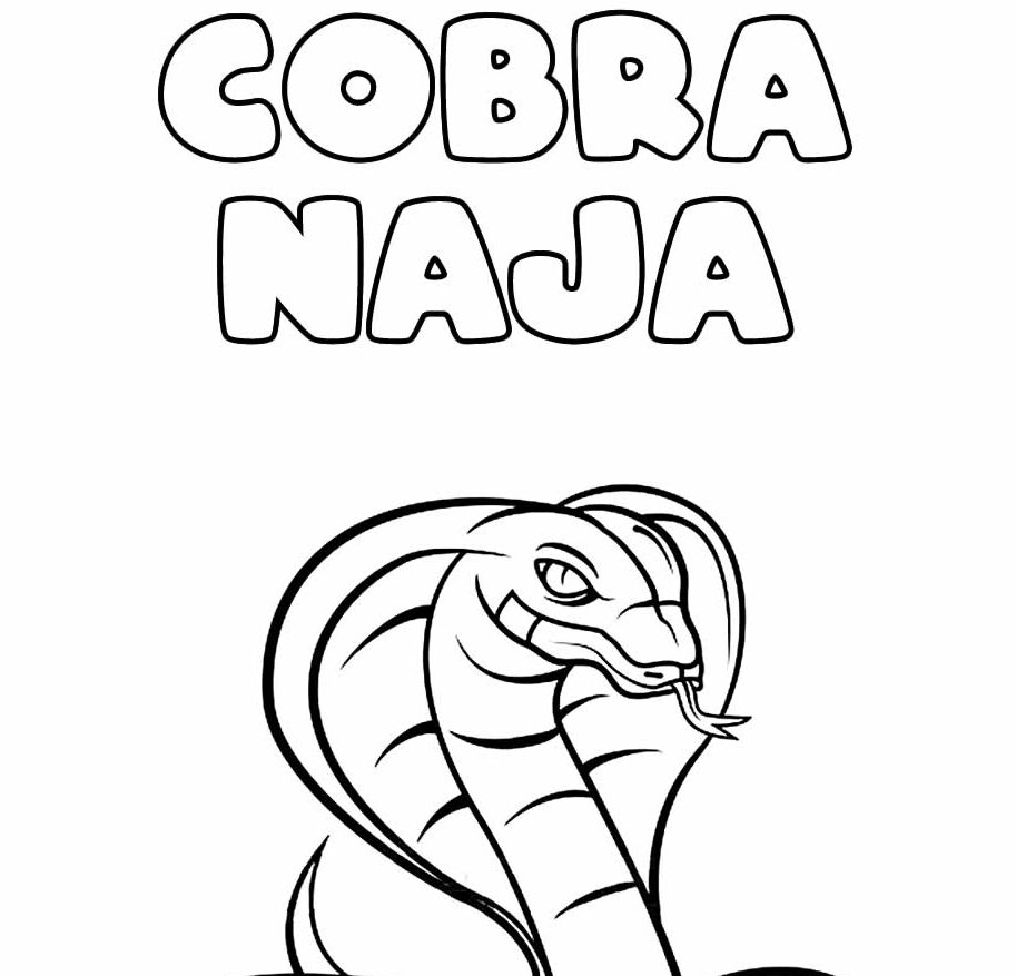 Cobra Naja