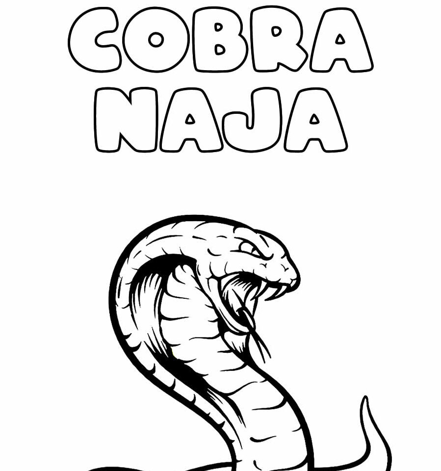 Cobra Naja