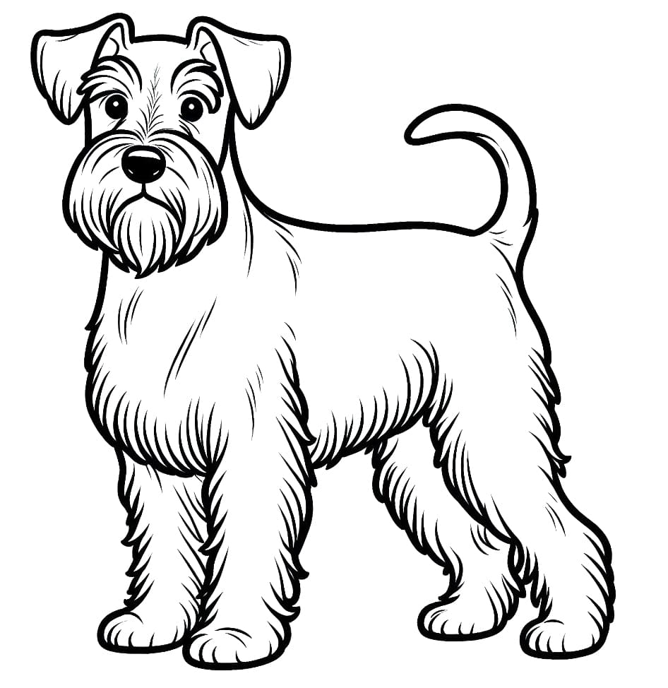 Schnauzer