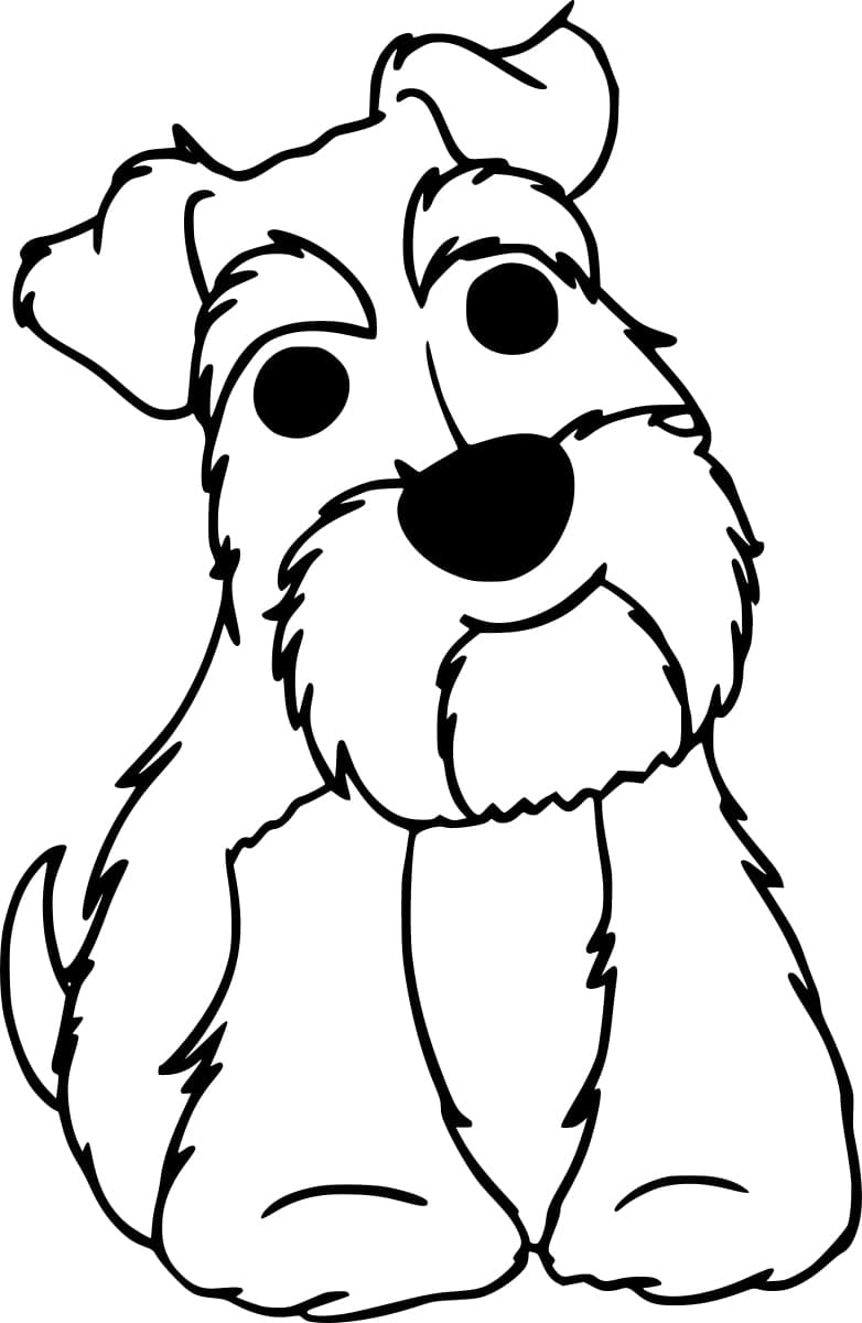 Schnauzer