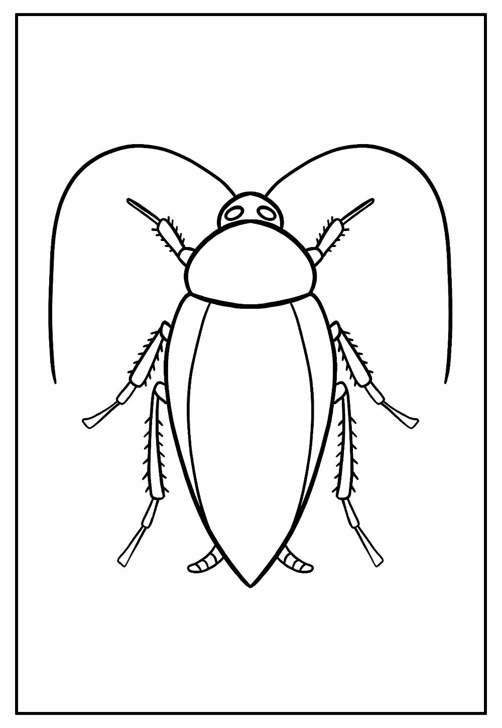 Barata