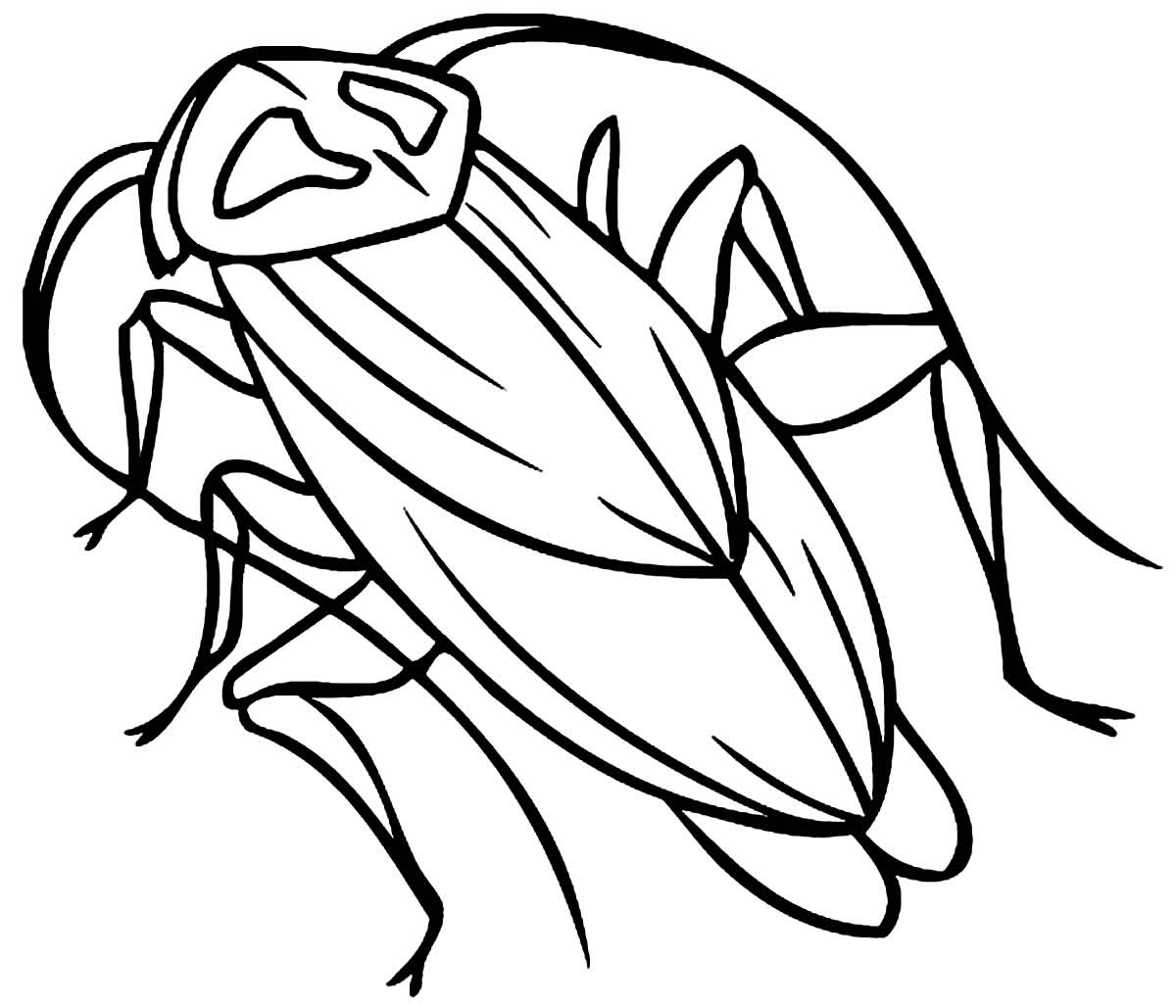 Barata