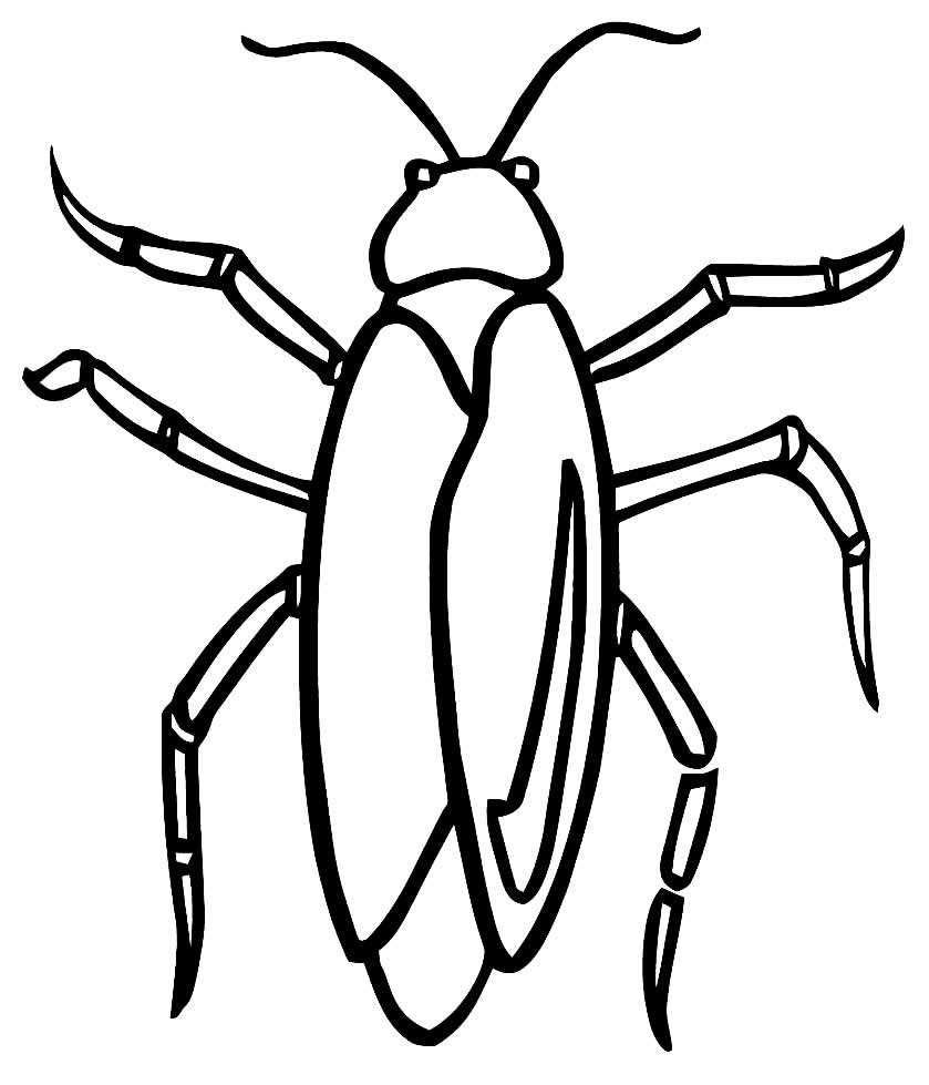 Desenhos de Barata para Imprimir e Colorir