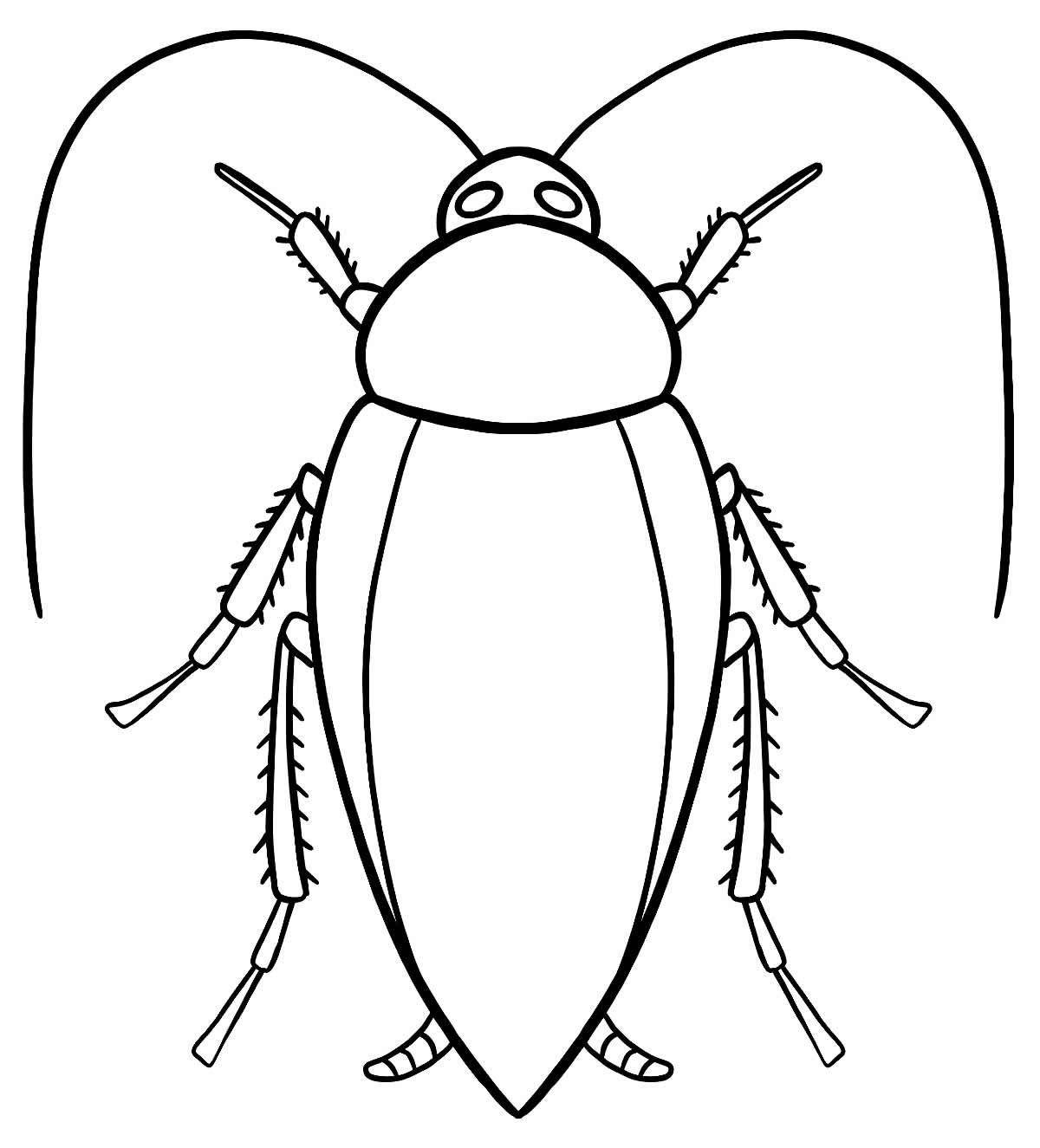Barata
