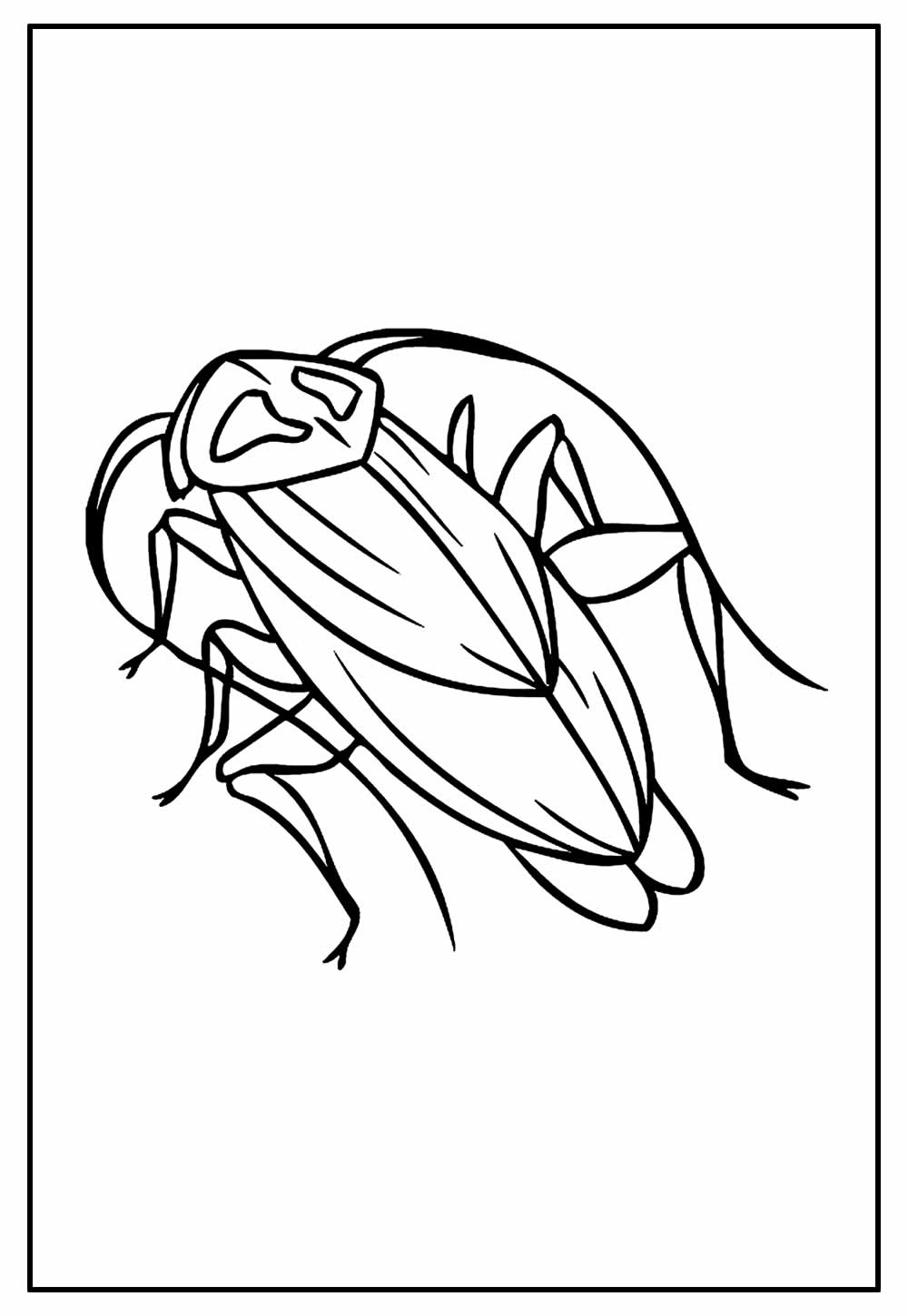Barata