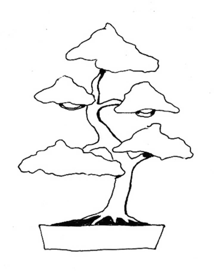 Bonsai