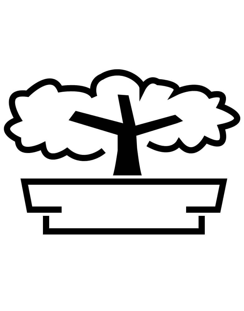 Bonsai