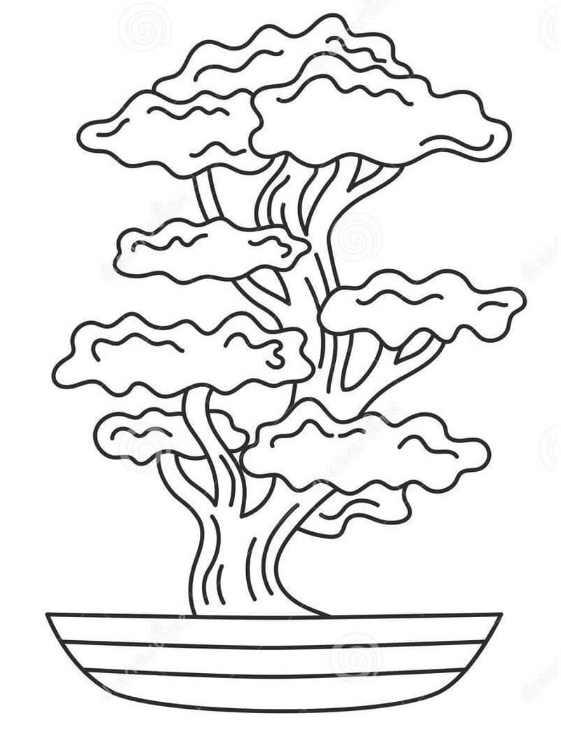 Bonsai