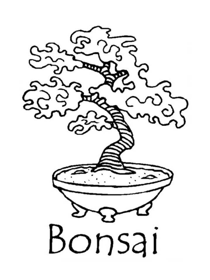 Bonsai