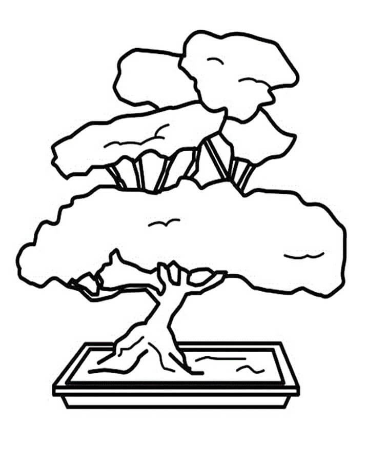Bonsai