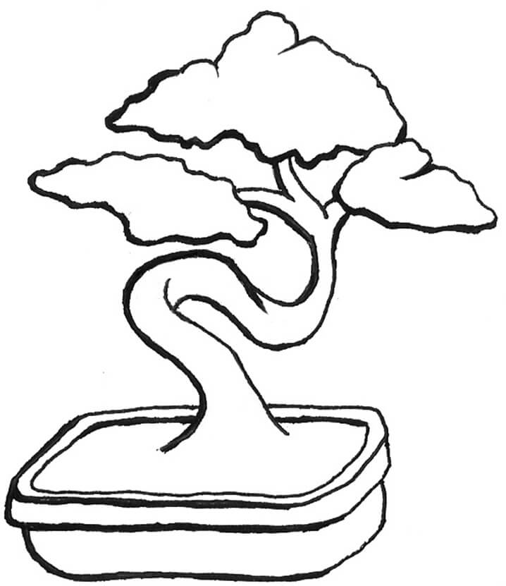 Bonsai